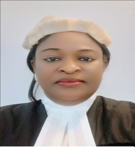 Hon. Mr. Dada Oluwaseyi Abayomi
